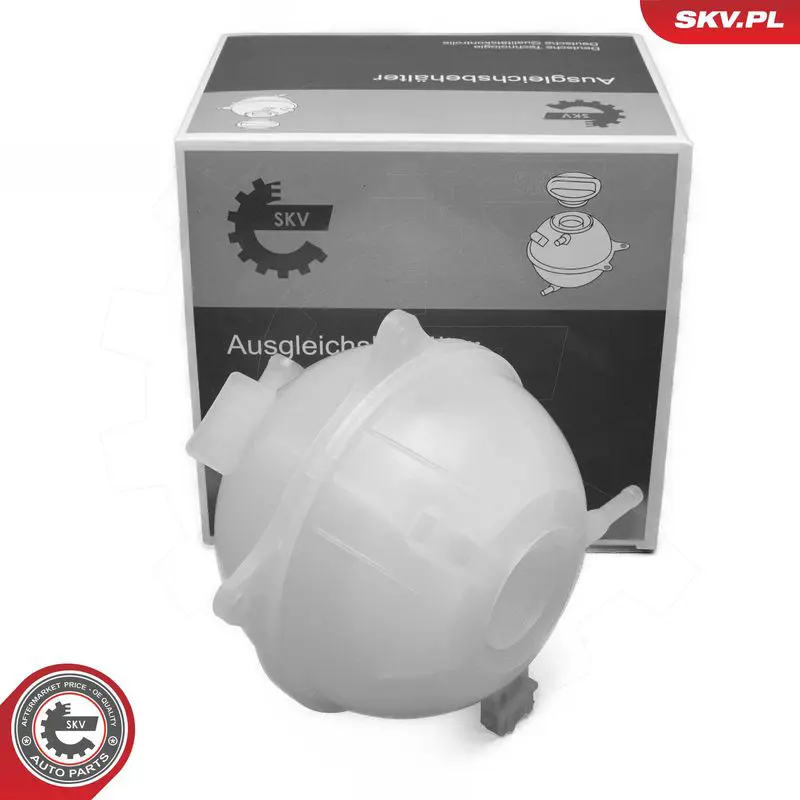 ESEN SKV 61SKV315 Компенсационный бак,