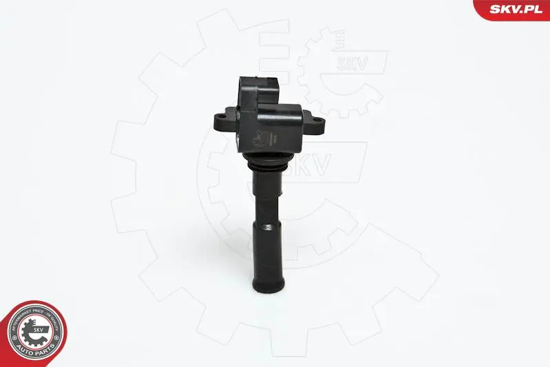 ESEN SKV 03SKV030 Катушка зажигания