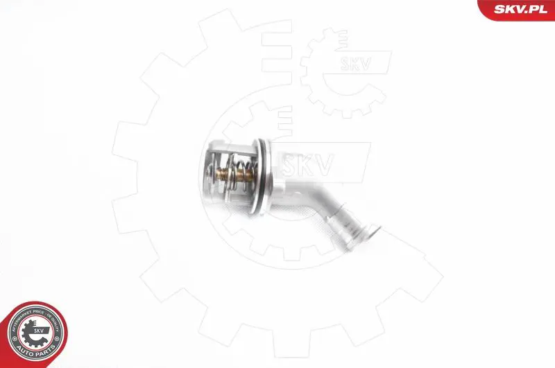 ESEN SKV 20SKV041 Термостат, охлаждающая