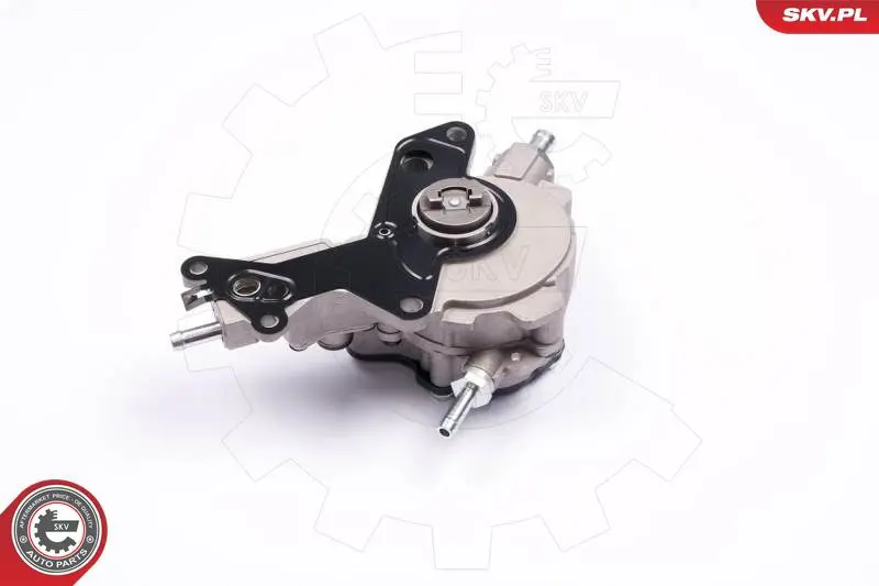 ESEN SKV 18SKV016 Вакуумный насос, тормозная