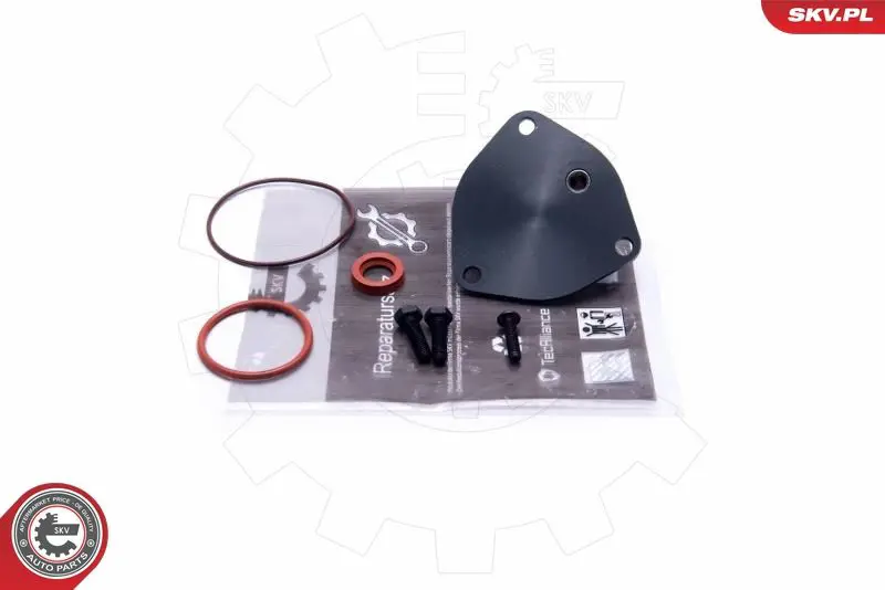 ESEN SKV 18SKV806 Ремкомплект, вакуумный насос