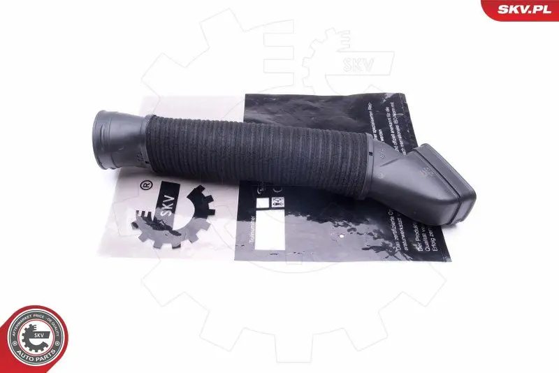 ESEN SKV 43SKV919 Рукав воздухозаборника,