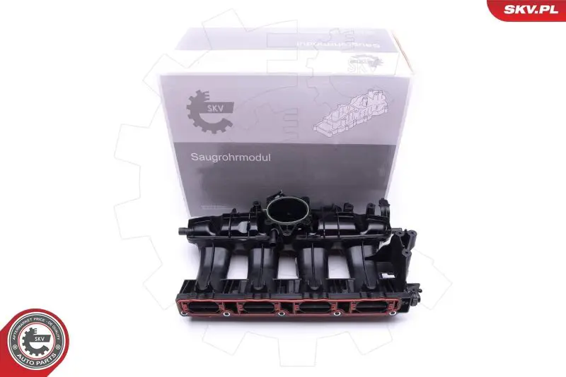 ESEN SKV 49SKV009 Модуль впускной трубы