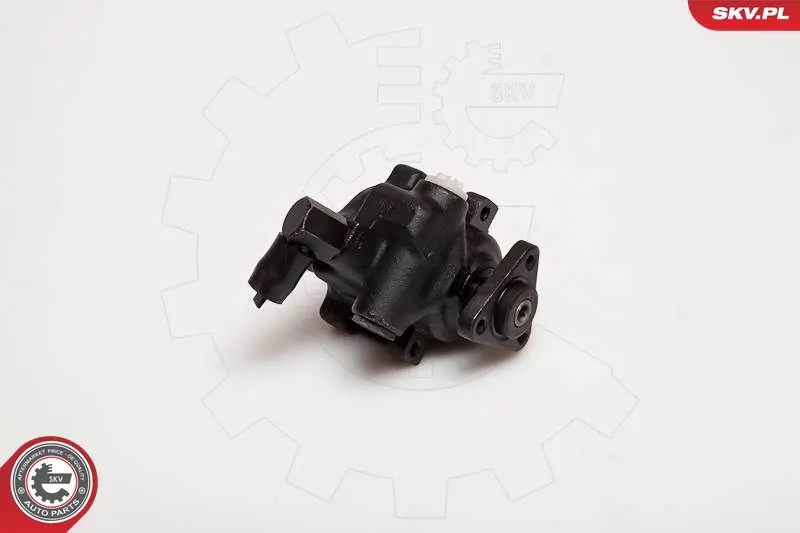 ESEN SKV 10SKV056 Гидравлический насос, рулевое