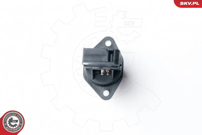 ESEN SKV 07SKV505 Расходомер воздуха
