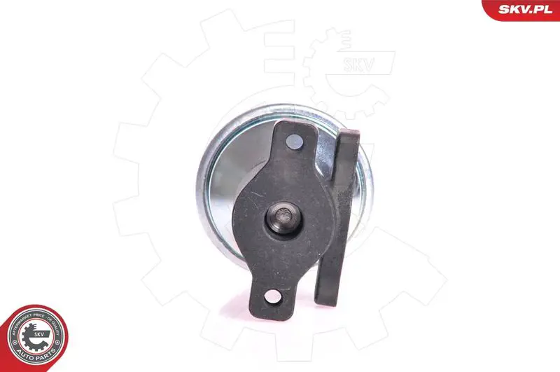 ESEN SKV 14SKV005 Клапан возврата ОГ