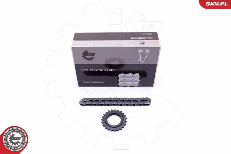 ESEN SKV 21SKV100 Комплект цепи, привод
