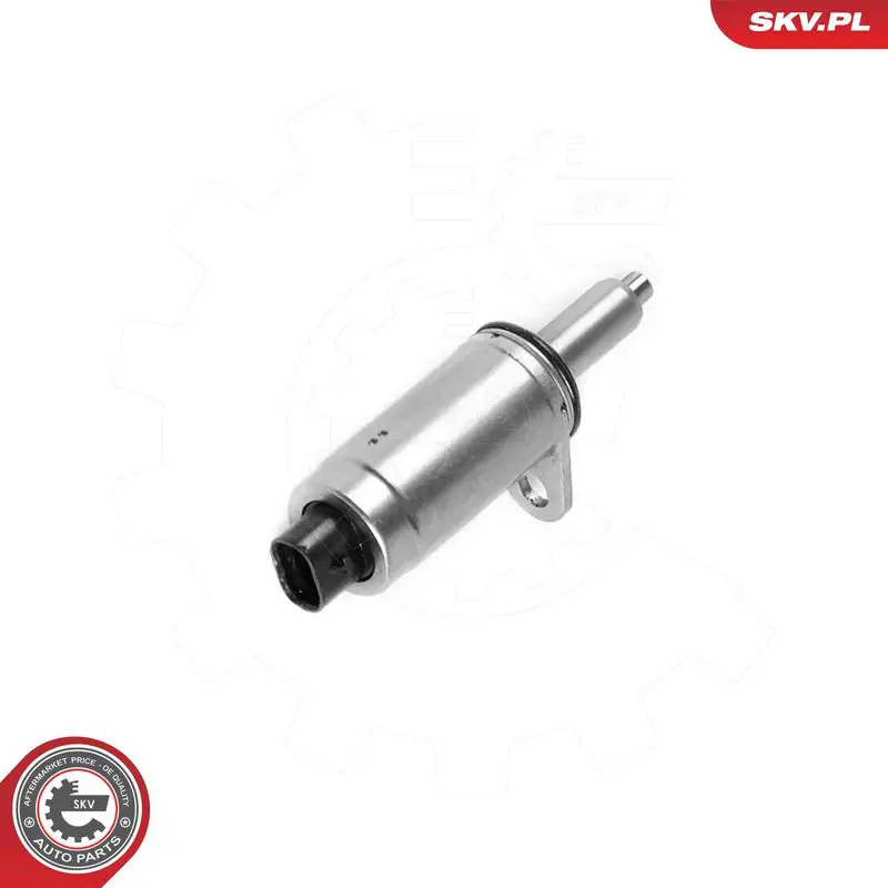 ESEN SKV 39SKV098 Control Valve, camshaft