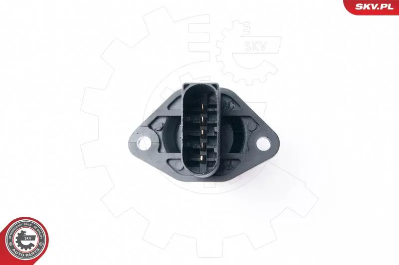 ESEN SKV 07SKV508 Расходомер воздуха