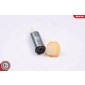 02SKV289 ESEN SKV Топливный насос
