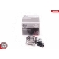 29SKV077 ESEN SKV Комплект подшипника ступицы