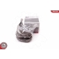 29SKV217 ESEN SKV Комплект подшипника ступицы