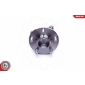 29SKV255 ESEN SKV Комплект подшипника ступицы