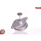 14SKV022 ESEN SKV Клапан возврата ОГ