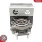29SKV564 Комплект подшипника ступицы