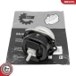 75SKV254 ESEN SKV Mounting, engine