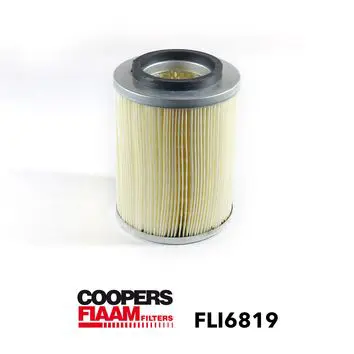 FLI6819 