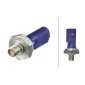 6ZL009600241 HELLA Датчик давления масла VAG 10-
