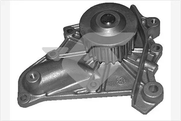 WP195 