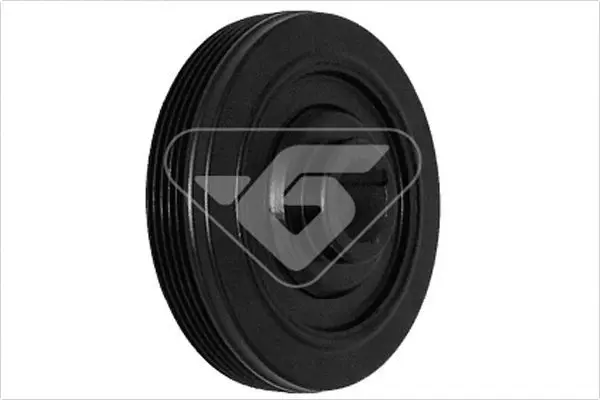 DP005 Шкив коленвала PSA 205/309/405