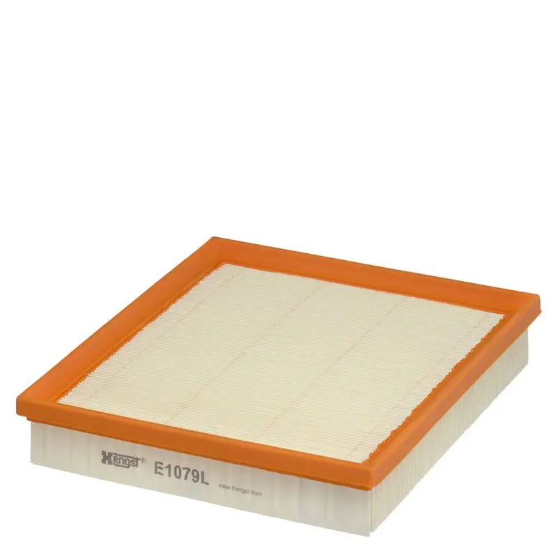 Hengst E1079L Фильтр воздушный HENGST (C 24