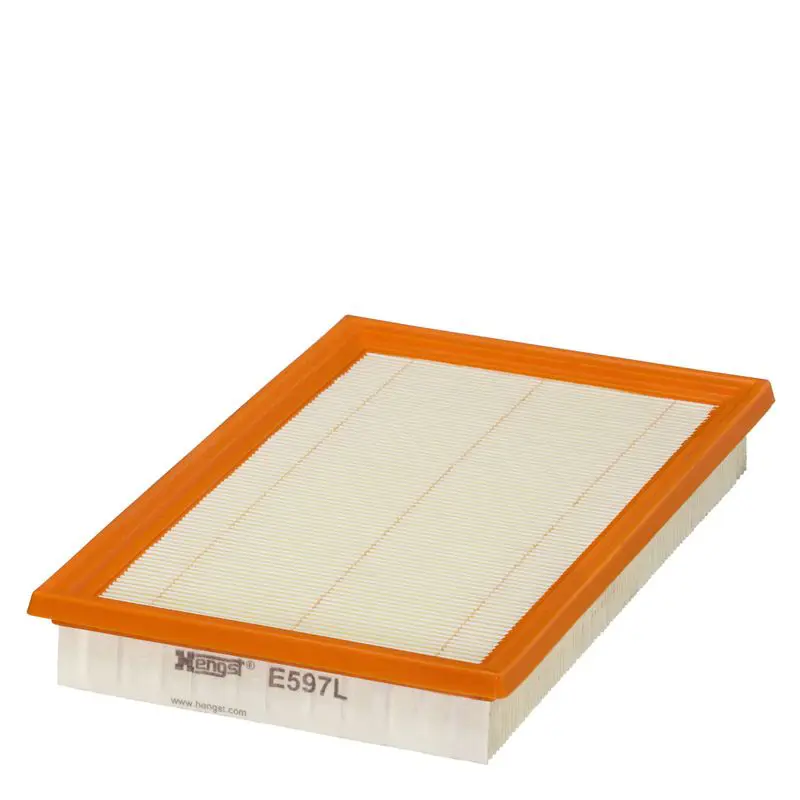 HENGST E597L Фильтр