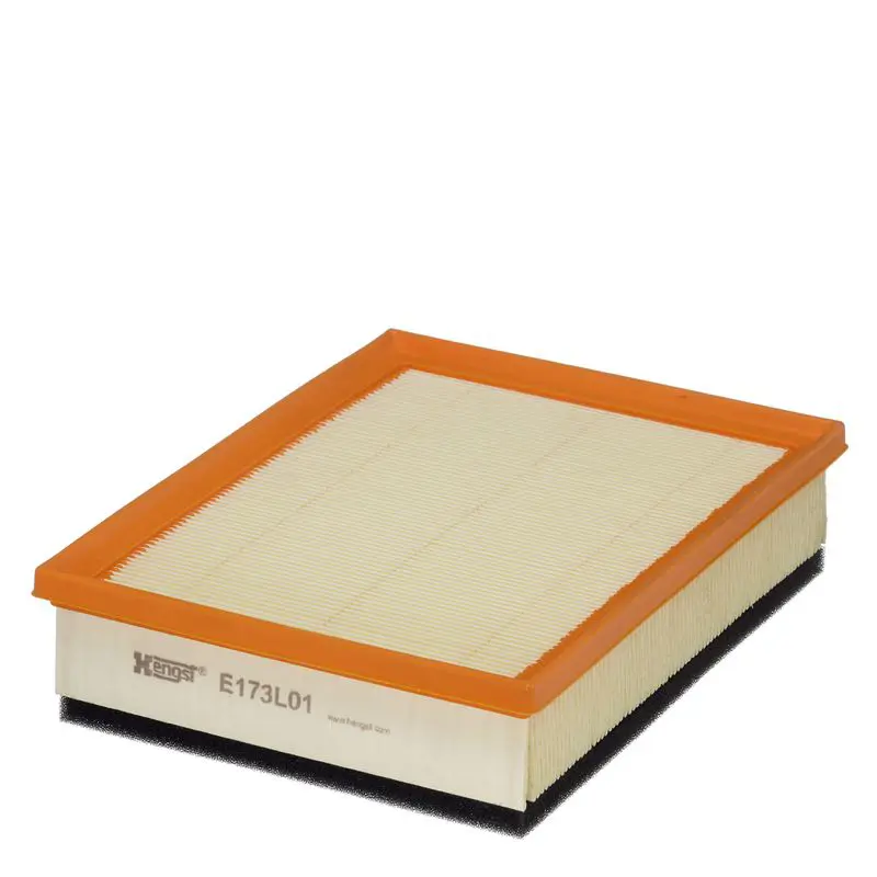 HENGST E173L01 Фильтр воздушный HENGST (C 25