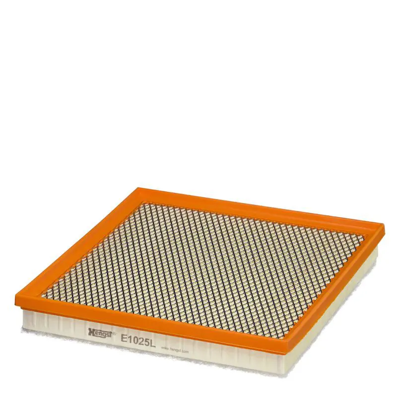 HENGST E1025L Фильтр воздушный HENGST (C 27