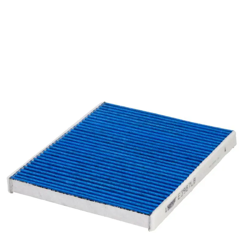 HENGST E3987LB Фильтр, воздух во внутренном