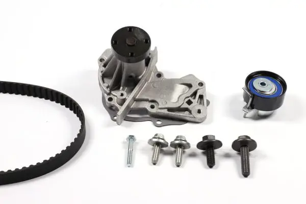 HEPU PK02550 рем.к-кт ГРМ с помпой Ford