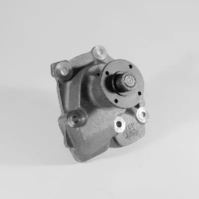 P219 