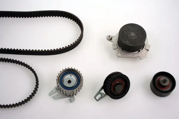PK10123 
