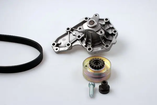 PK00540 