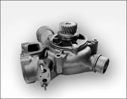 P1184 