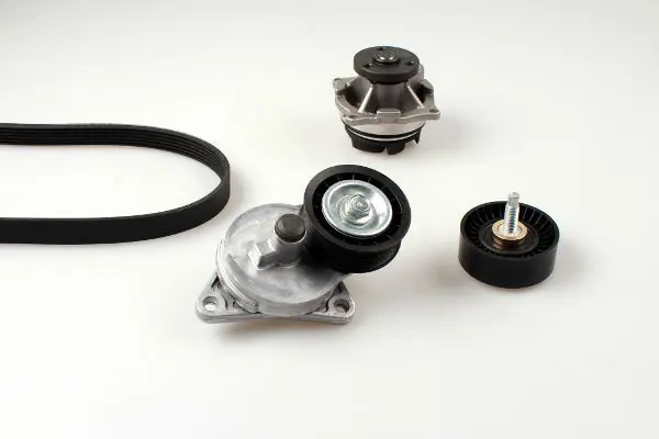PK02360 