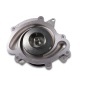 Hepu P1521