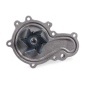 Hepu P1717