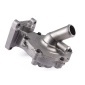 Hepu P246
