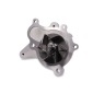 Hepu P7797