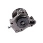 HEPU P1203