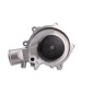 HEPU P33536