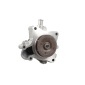 Hepu P1206