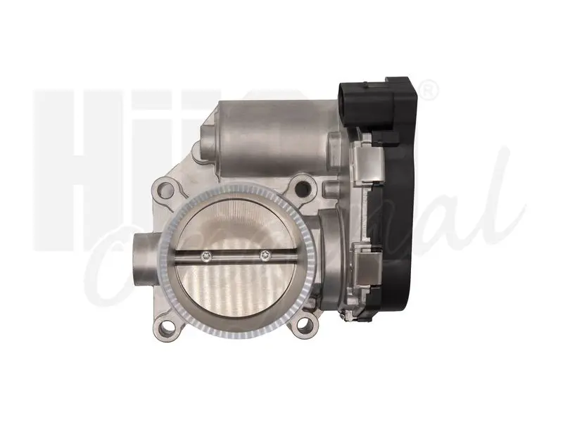 139034 Throttle Body