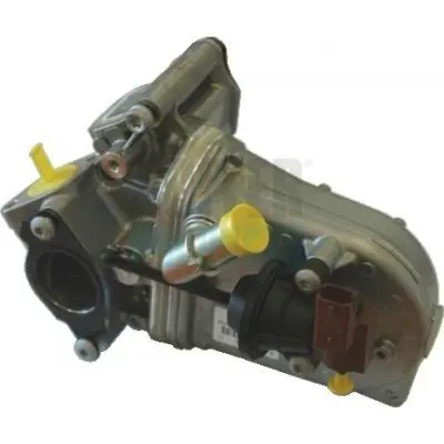 7518146 