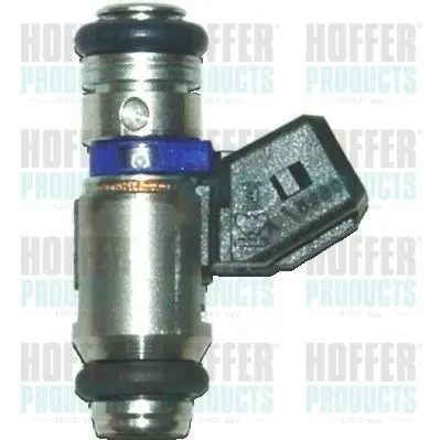 H75112164 Injector
