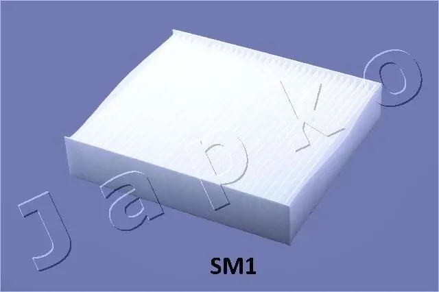 21SM1 Фильтр, воздух во внутренном
