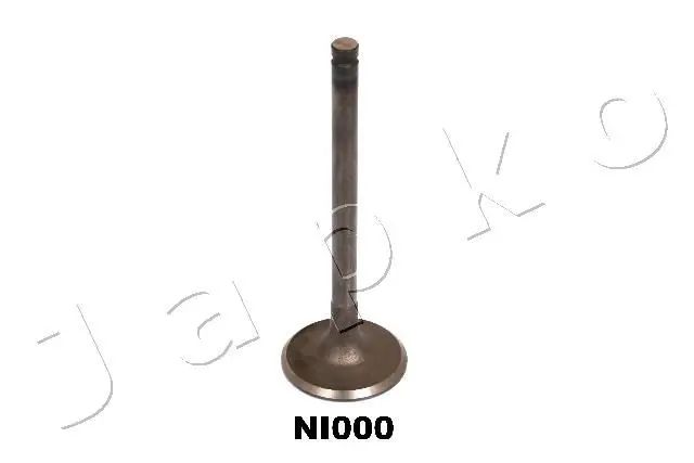 5NI000 Inlet valve
