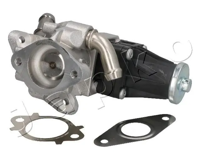 1500303 EGR Valve