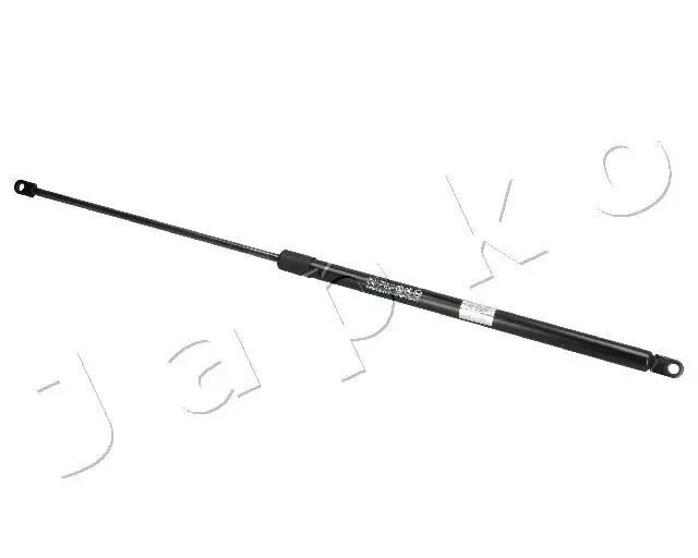 ZSJ09015 