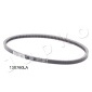 13X760 V-belt